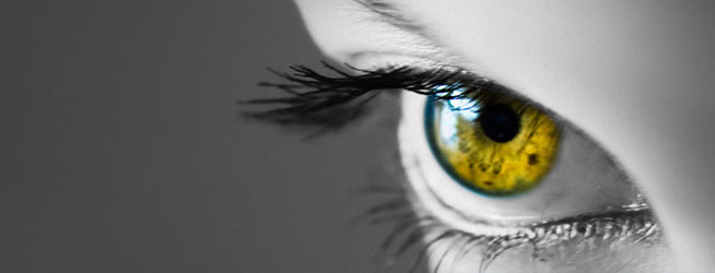 Speciale Photokina 2014