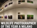 La mostra Wildlife Photographer of the Year 2018 sbarca a Milano
